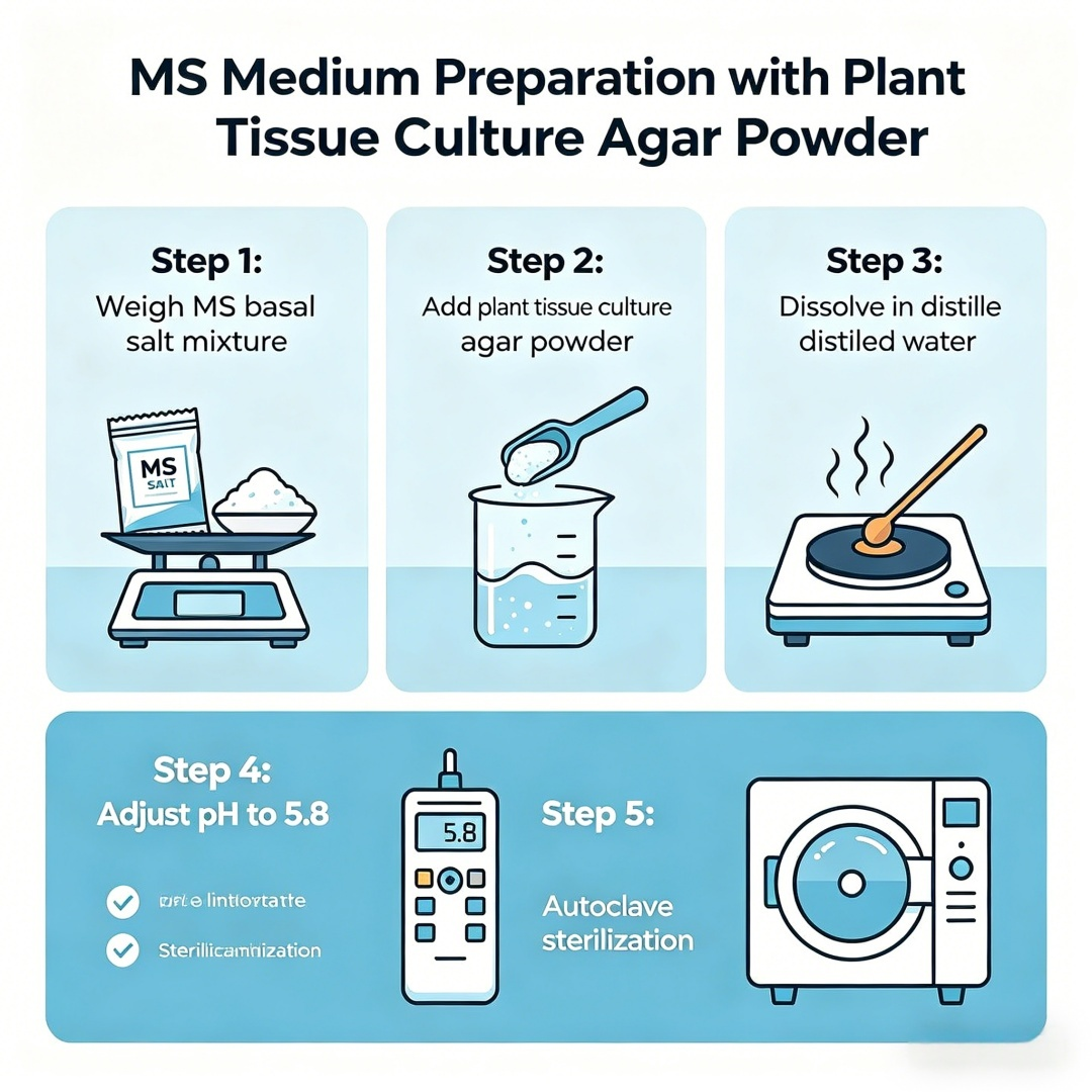 High Gel Strength Plant Tissue - Agar Tissue Culture のレビューと価格