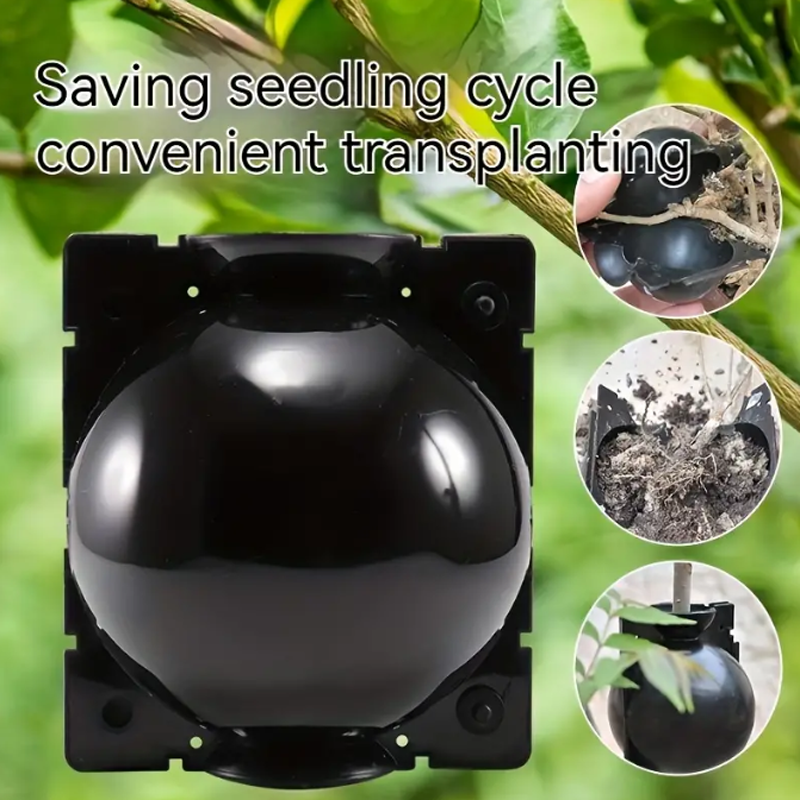Garden Orchard Plants Grafting - Rooting Gel Clone のレビューと価格