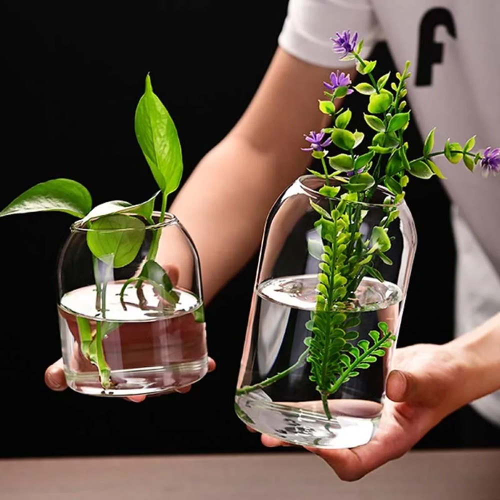 Creative Hydroponic Plant Glas - Propagation Station Vase のレビューと価格