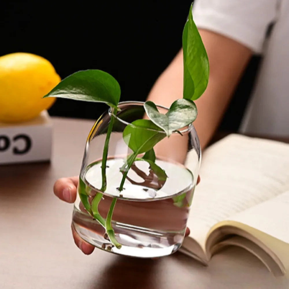 Creative Hydroponic Plant Glas - Propagation Station Vase のレビューと価格