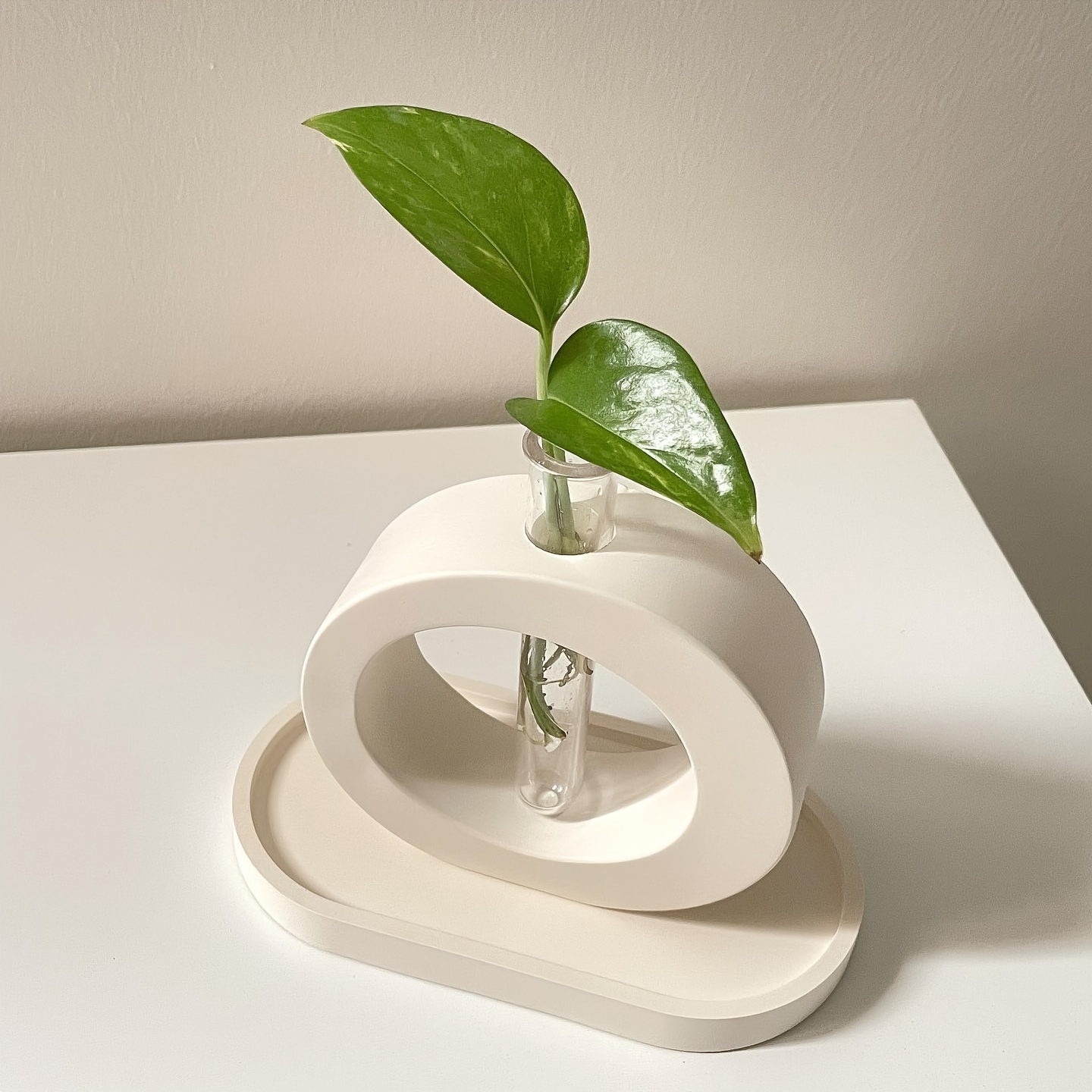 4PCS Flower Vase Silicone Mold - Propagation Station Vase のレビューと価格