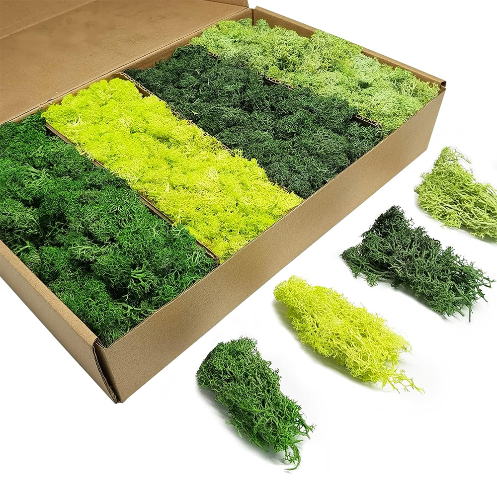 Artificial Green Plants Eterna - Sphagnum Moss Dry のレビューと価格