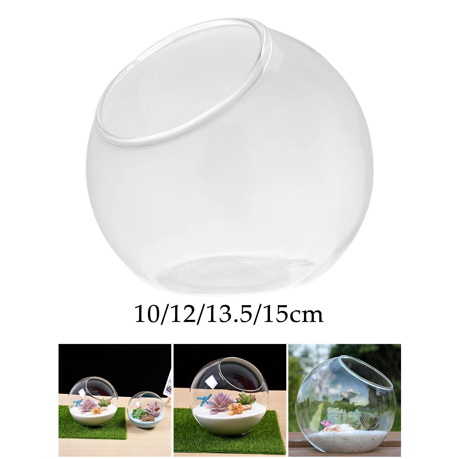 Terrarium Glass Vase Unique Ce - Propagation Station Vase のレビューと価格