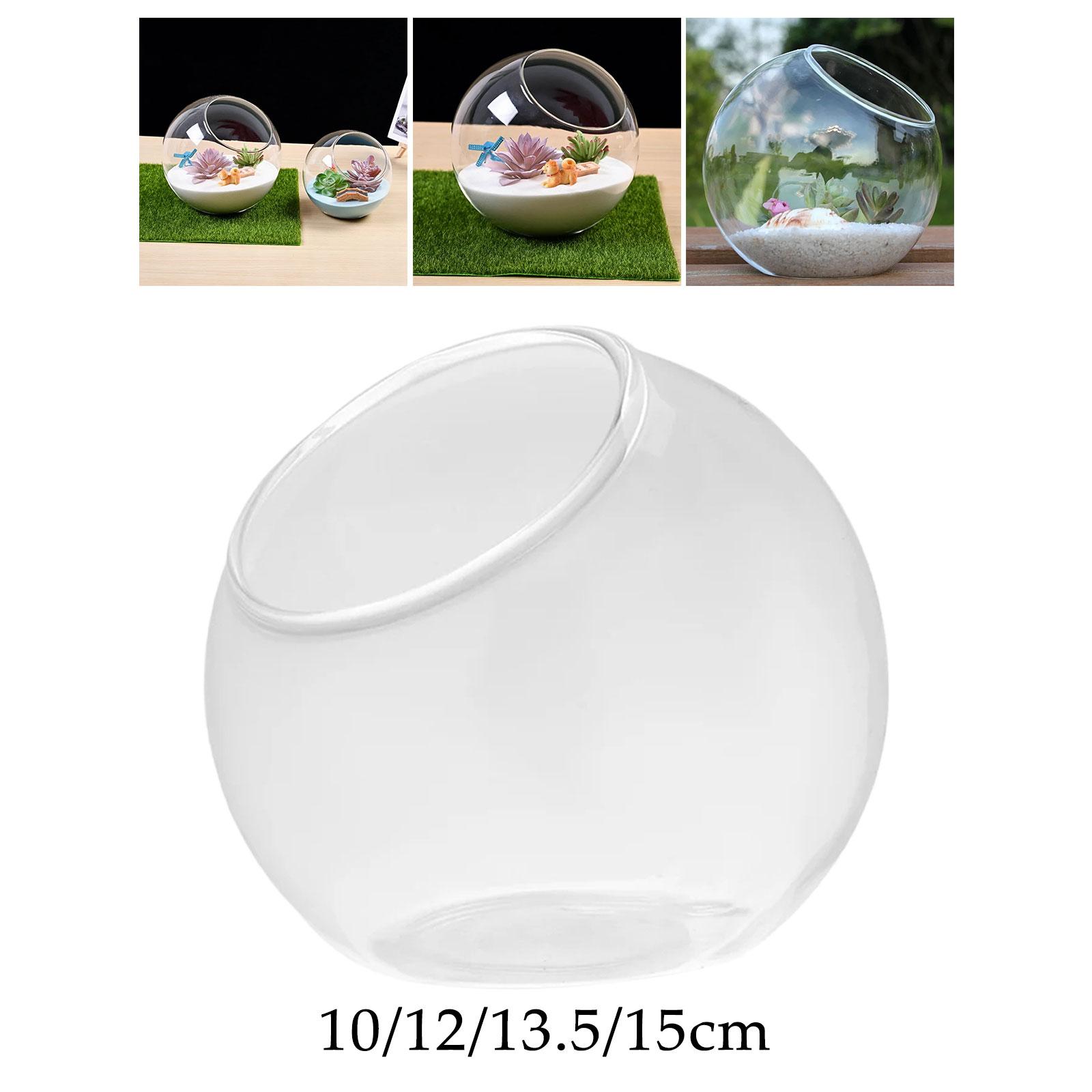 Terrarium Glass Vase Unique Ce - Propagation Station Vase のレビューと価格