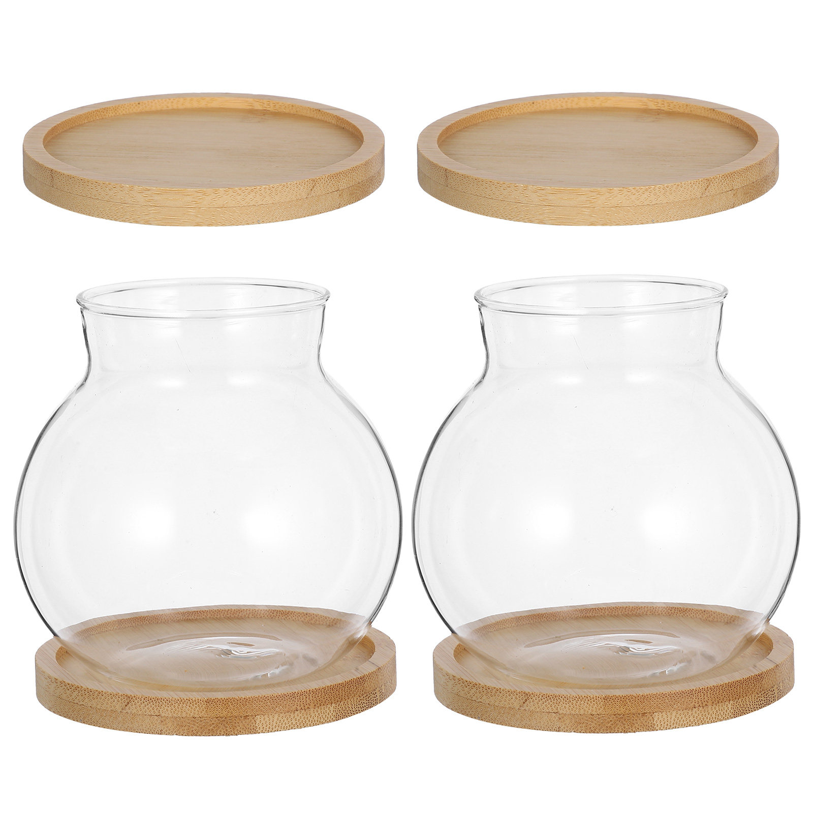 2Set Hydroponic Vase Glass Pla - Propagation Station Vase のレビューと価格