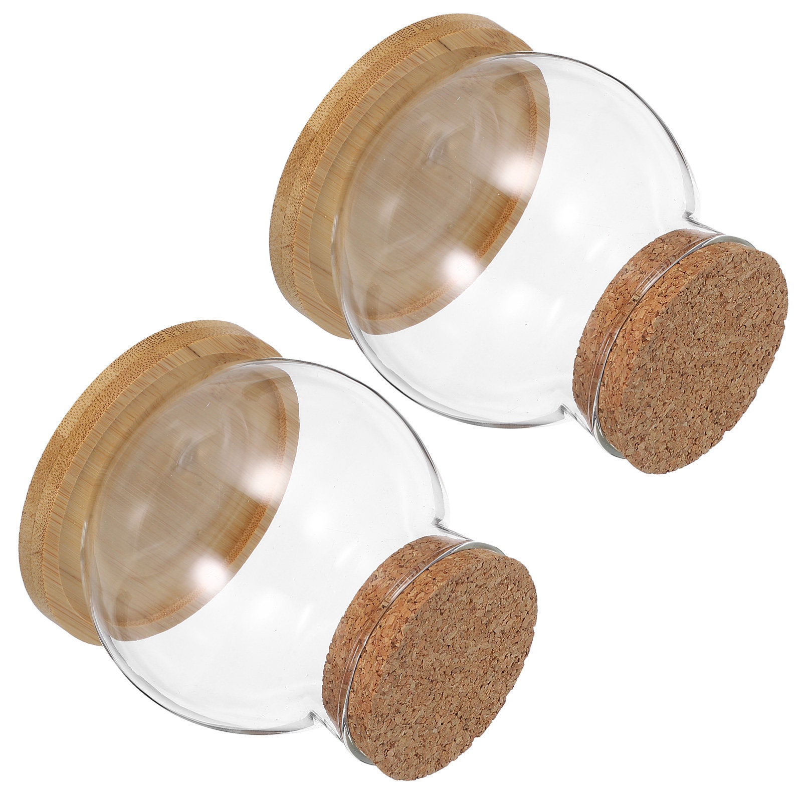 2Set Hydroponic Vase Glass Pla - Propagation Station Vase のレビューと価格