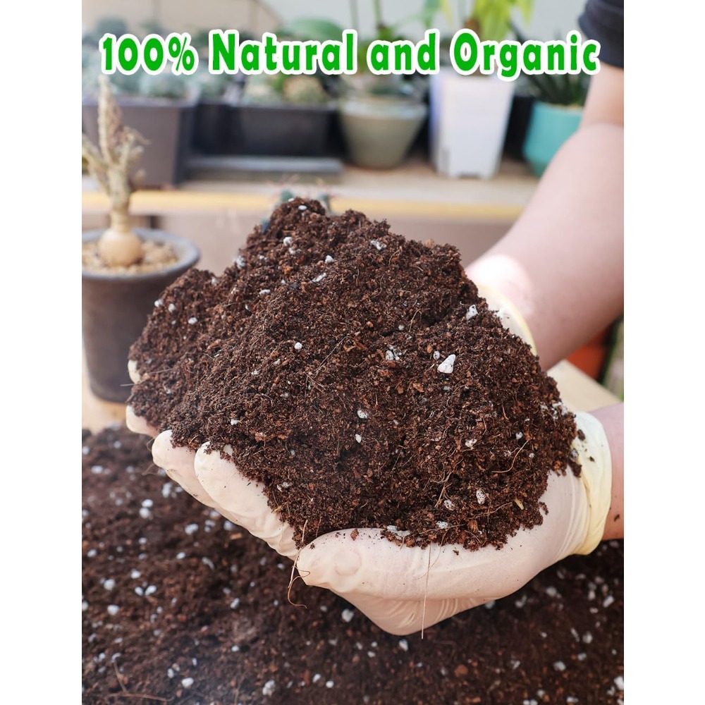 Potting Soil for All Indoor Ho - Coco Perlite Mix のレビューと価格