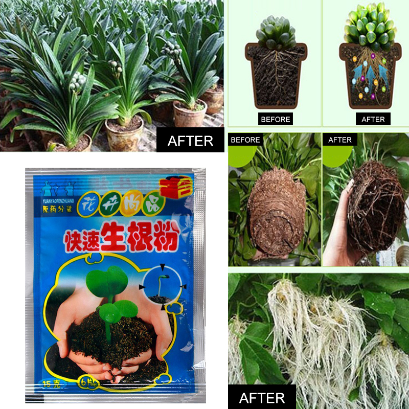 5pcs Fast Rooting Powder Plant - Rooting Hormone Powder のレビューと価格