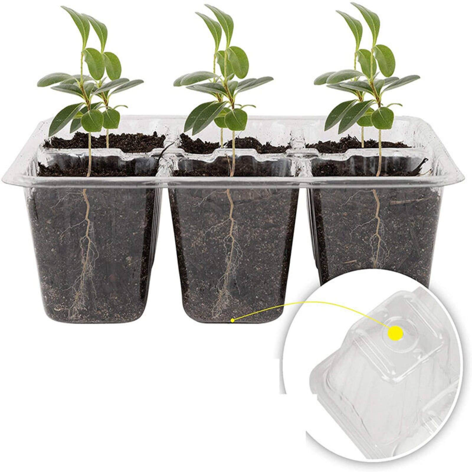 12 Compartment Germination Tra - Humidity Dome Kit のレビューと価格