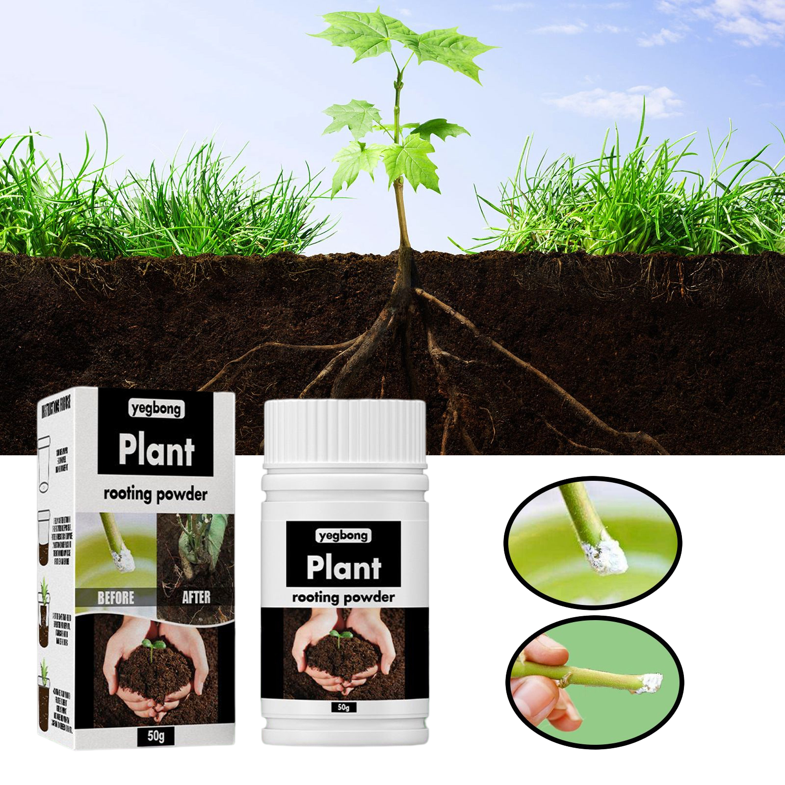 1Rare Plant Rooting Powder Pla - Rooting Hormone Powder のレビューと価格