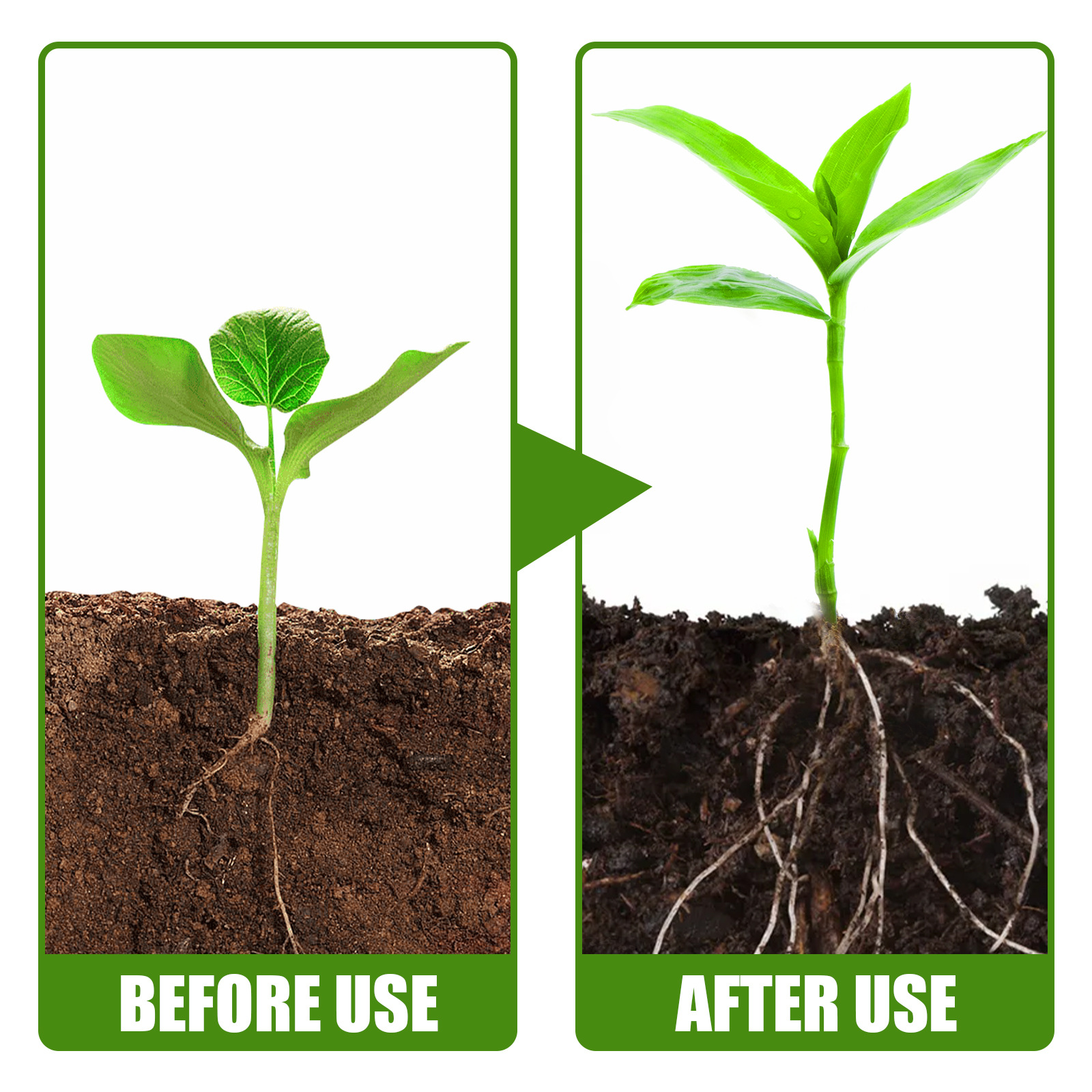 1Rare Plant Rooting Powder Pla - Rooting Hormone Powder のレビューと価格