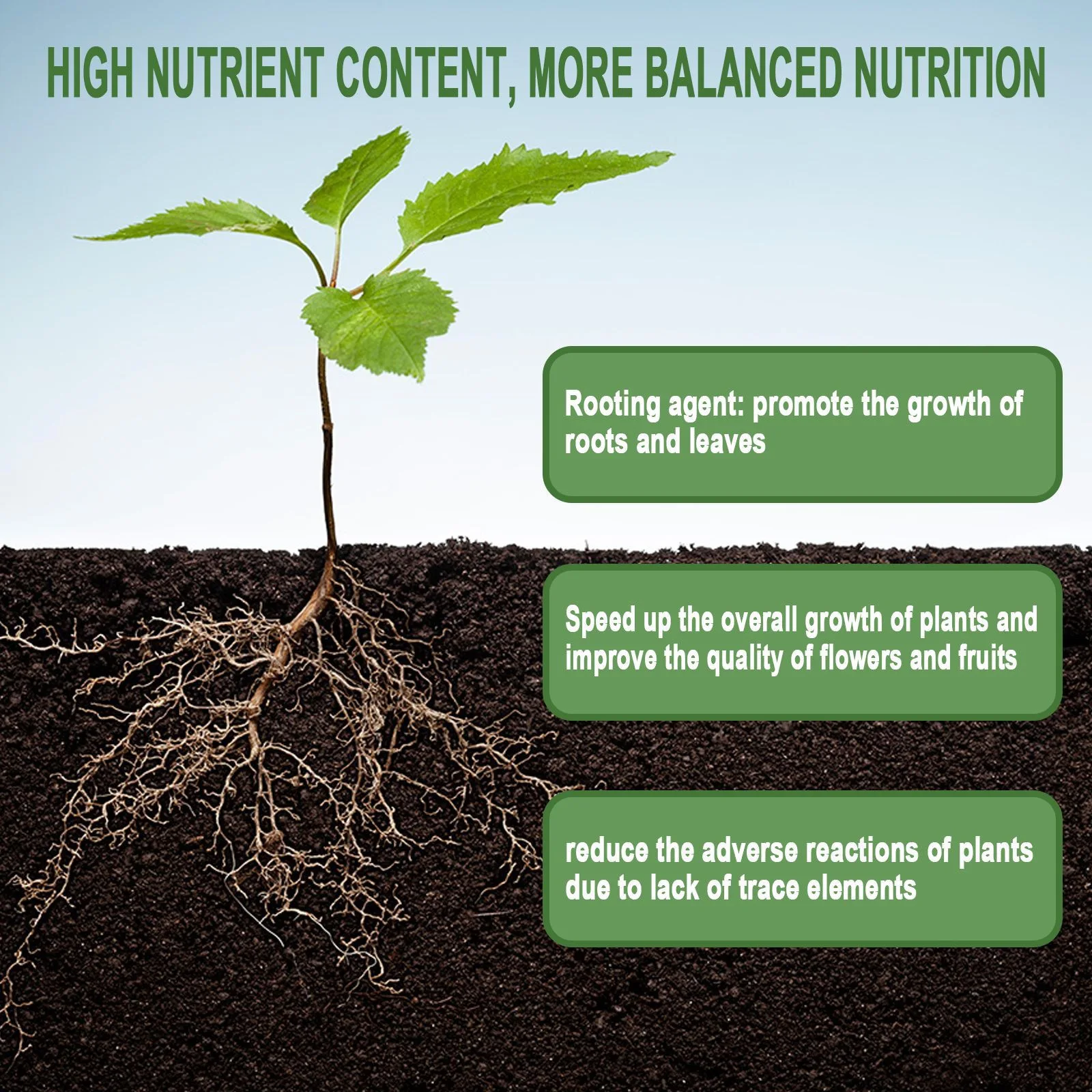 1Rare Plant Rooting Powder Pla - Rooting Hormone Powder のレビューと価格