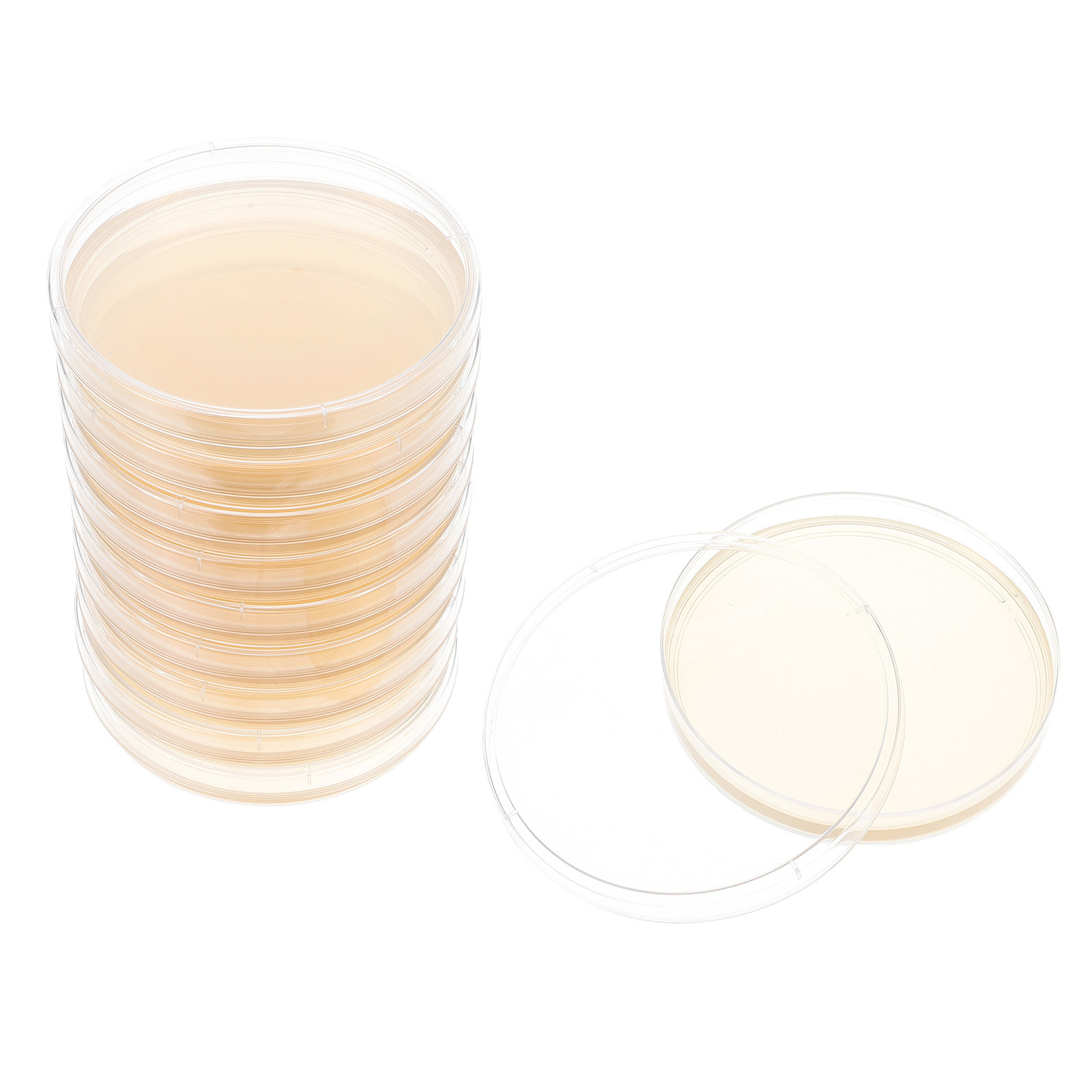 10pcs Nutrient Agar Plates Pre - Agar Tissue Culture のレビューと価格