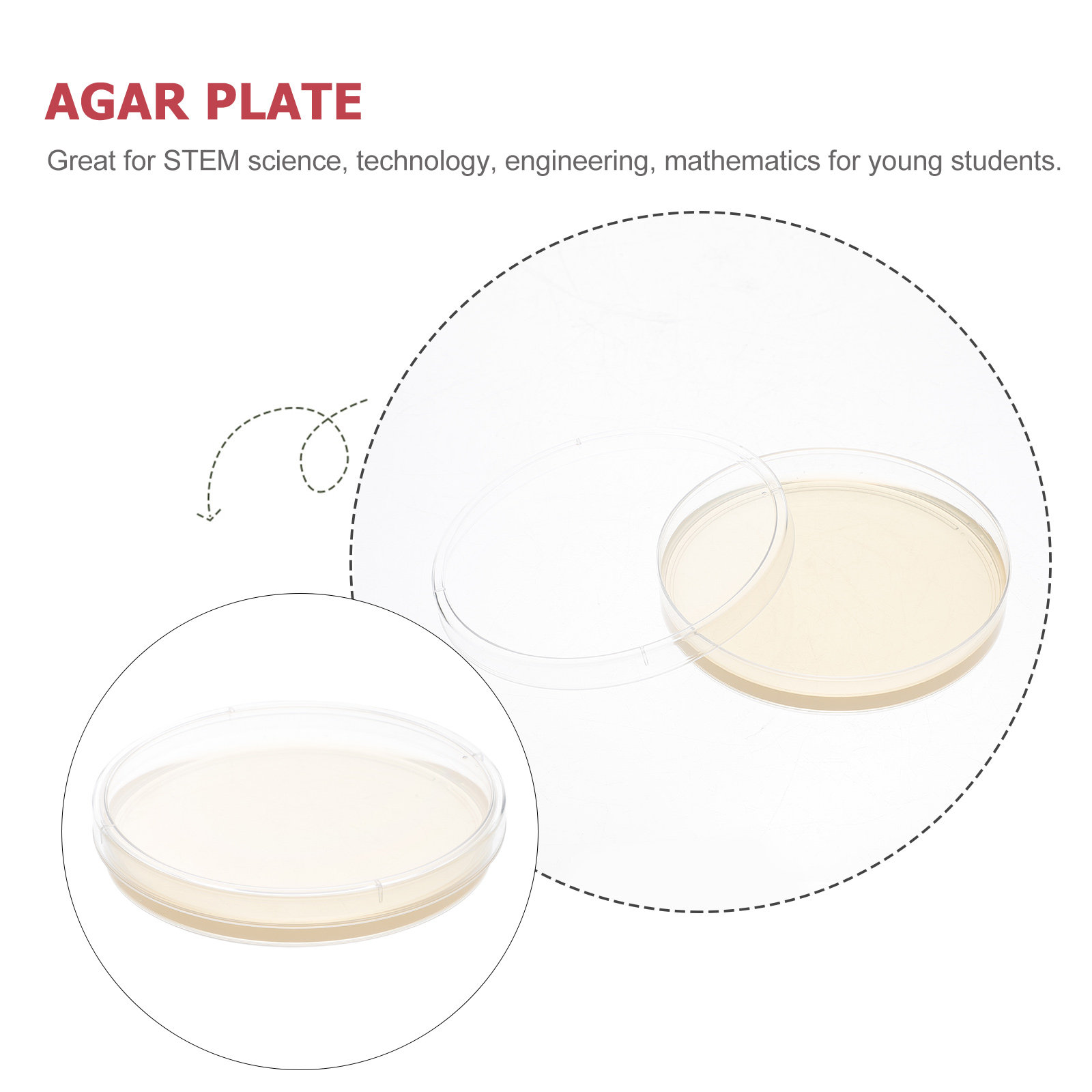 10pcs Nutrient Agar Plates Pre - Agar Tissue Culture のレビューと価格