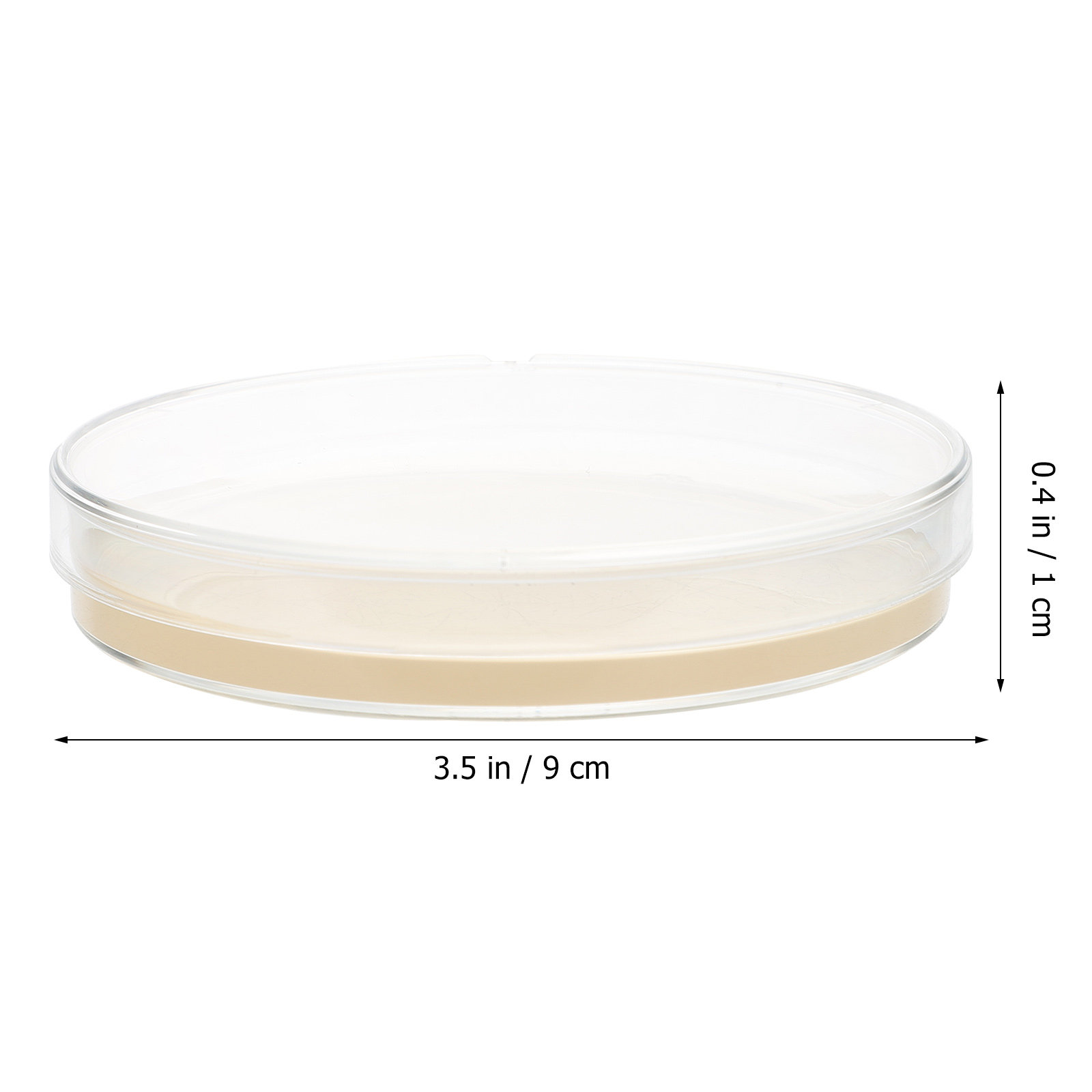 10pcs Nutrient Agar Plates Pre - Agar Tissue Culture のレビューと価格