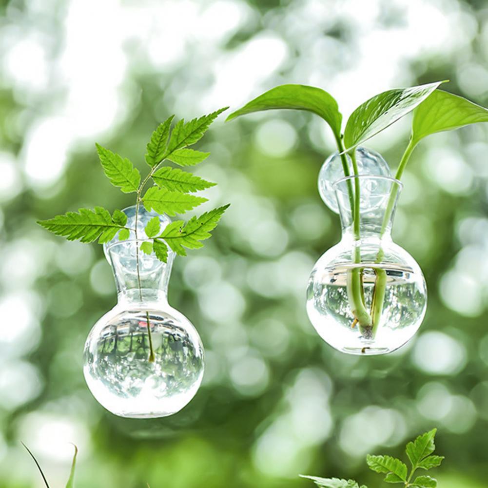 Window Planter Vase Window Pla - Propagation Station Vase のレビューと価格