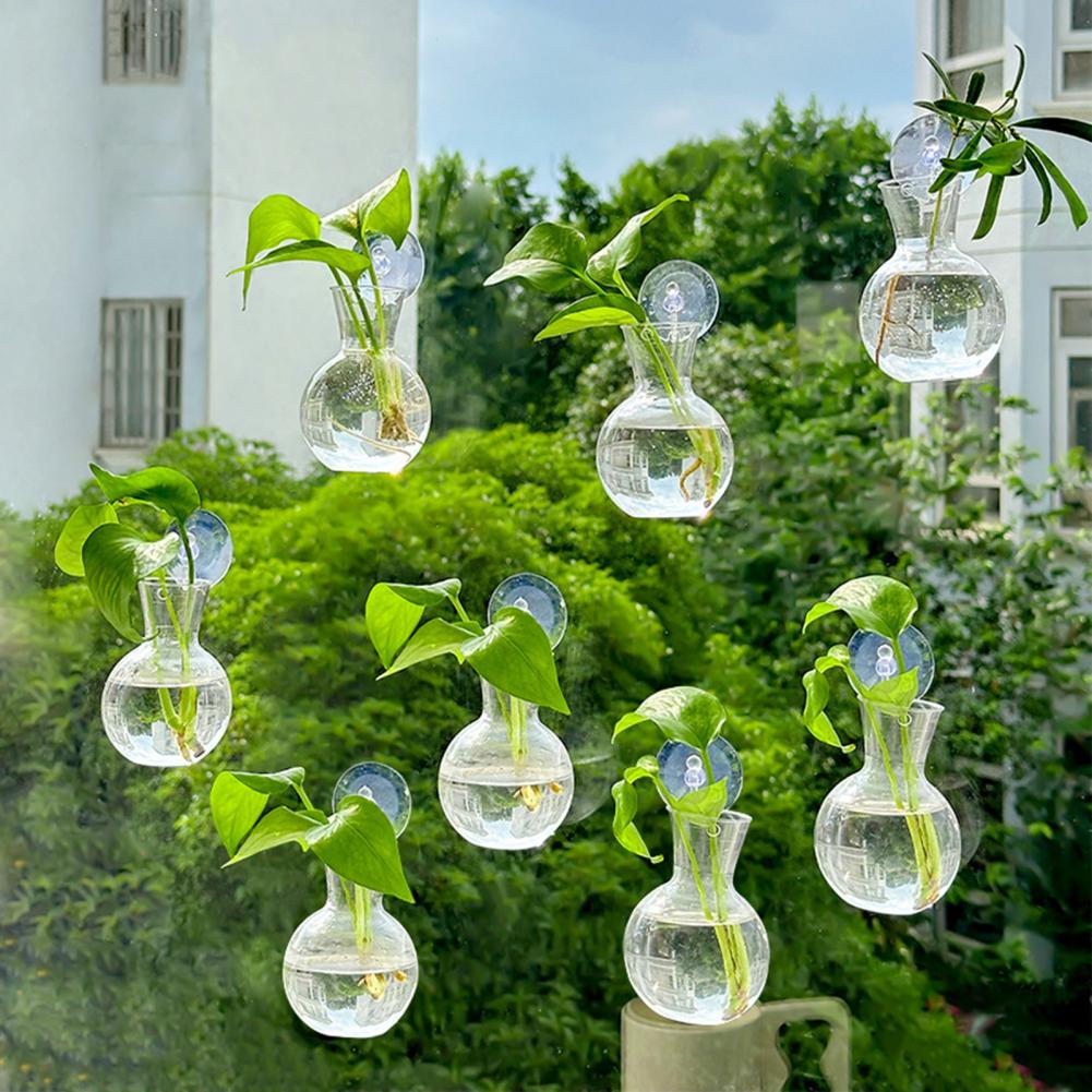 Window Planter Vase Window Pla - Propagation Station Vase のレビューと価格