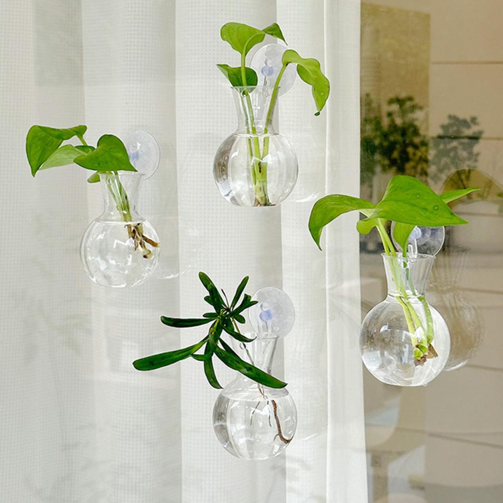 Window Planter Vase Window Pla - Propagation Station Vase のレビューと価格