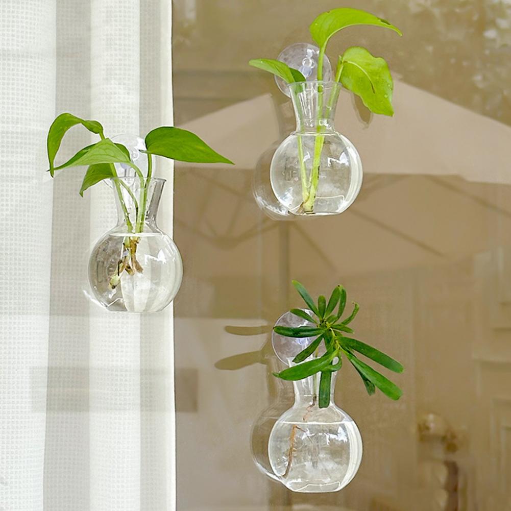 Window Planter Vase Window Pla - Propagation Station Vase のレビューと価格
