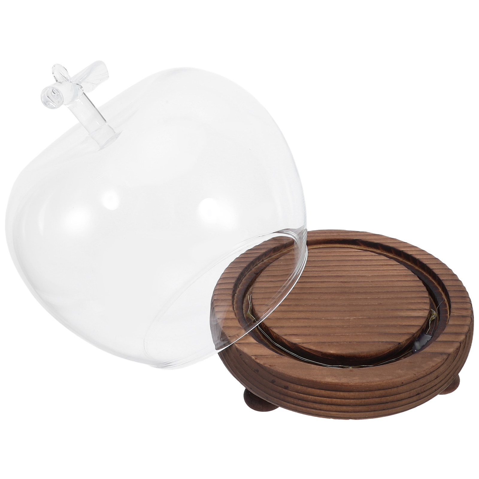 Clear Glass Dome Display with  - Plastic Dome Clear のレビューと価格