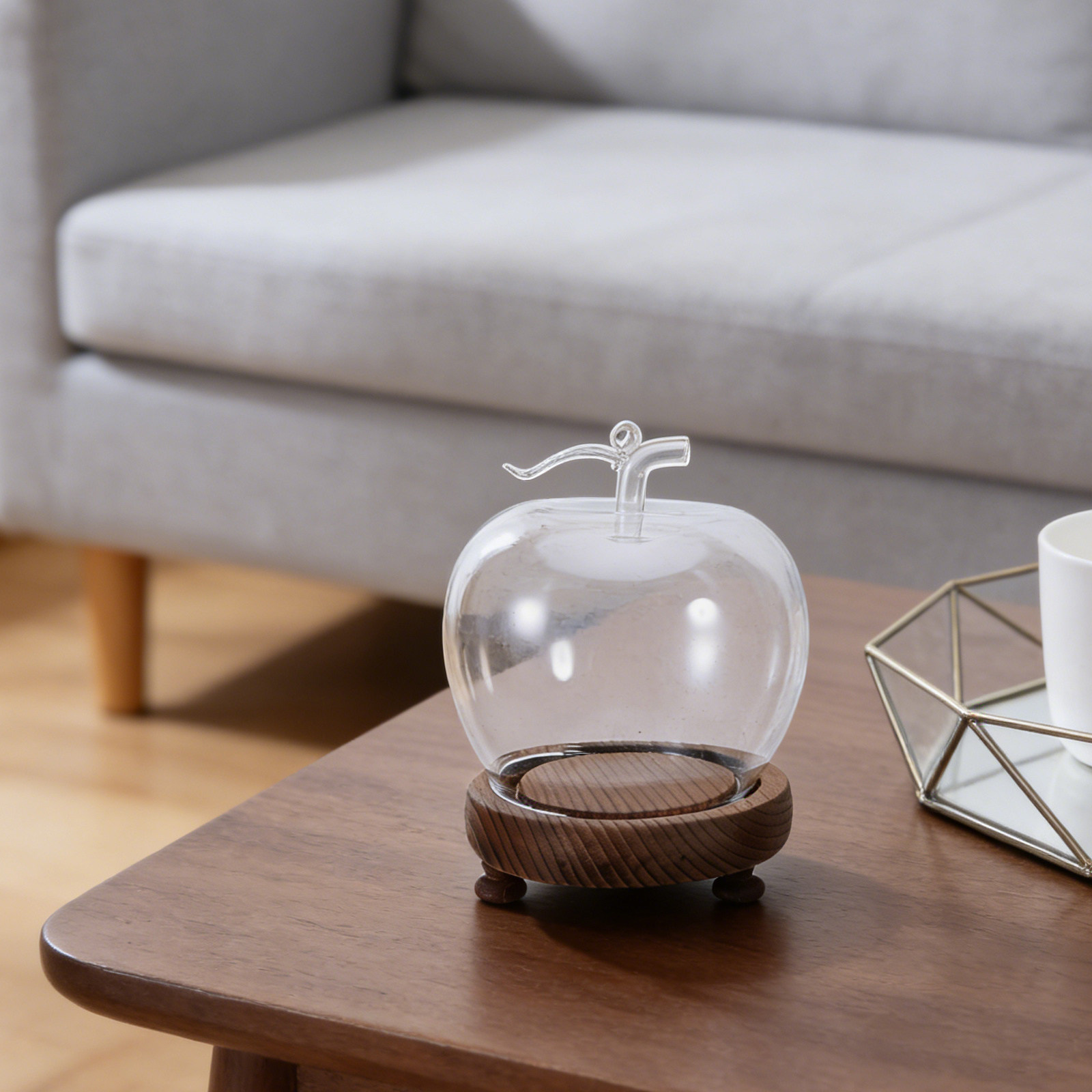 Clear Glass Dome Display with  - Plastic Dome Clear のレビューと価格
