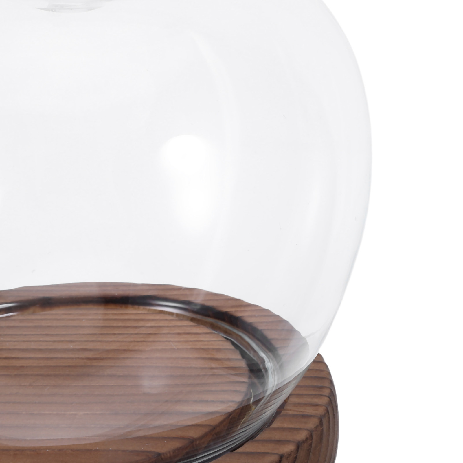 Clear Glass Dome Display with  - Plastic Dome Clear のレビューと価格