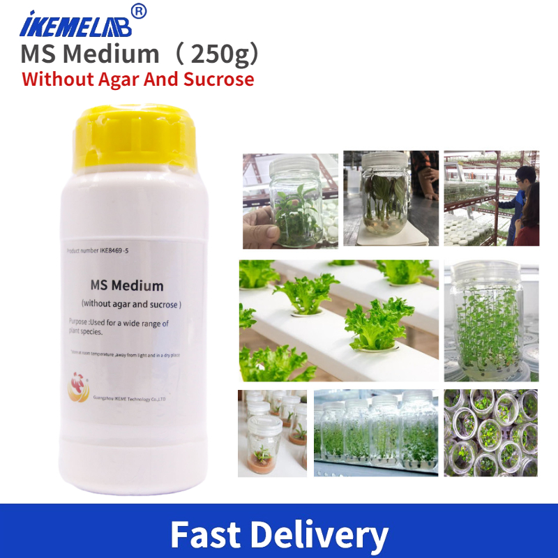 IKEME Lab MS Medium 250g Witho - Agar Tissue Culture のレビューと価格