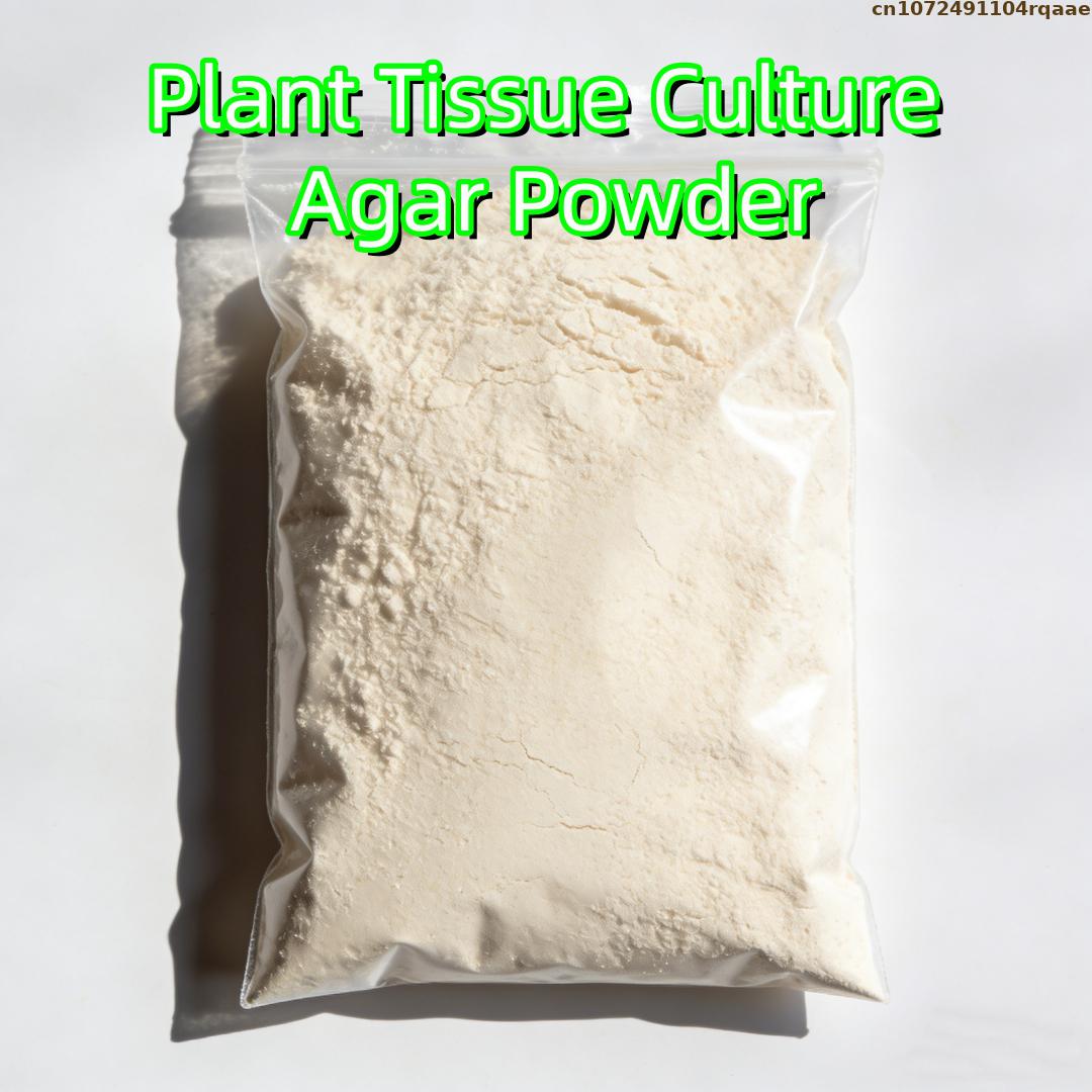 Premium Plant Tissue Culture A - Agar Tissue Culture のレビューと価格