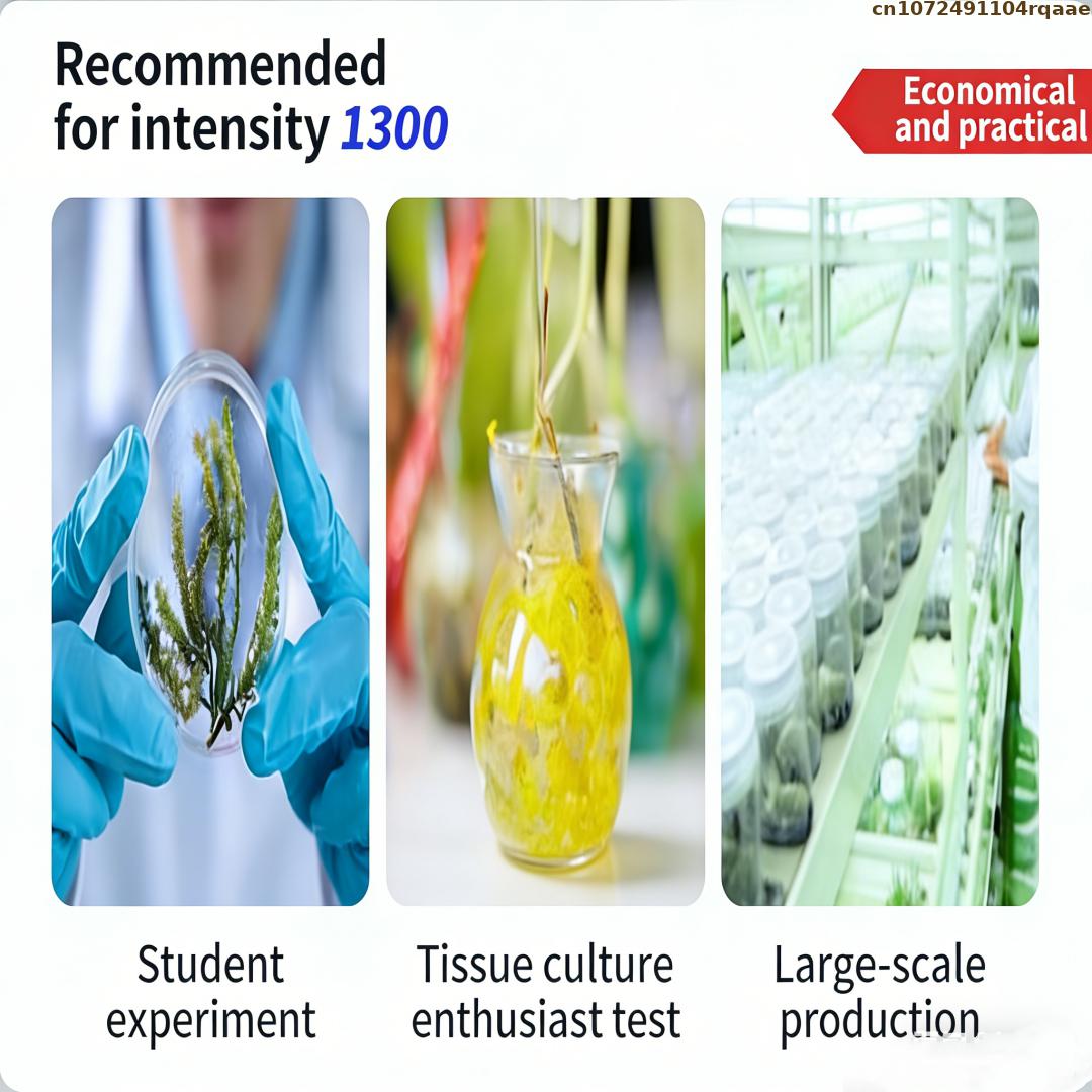 Premium Plant Tissue Culture A - Agar Tissue Culture のレビューと価格