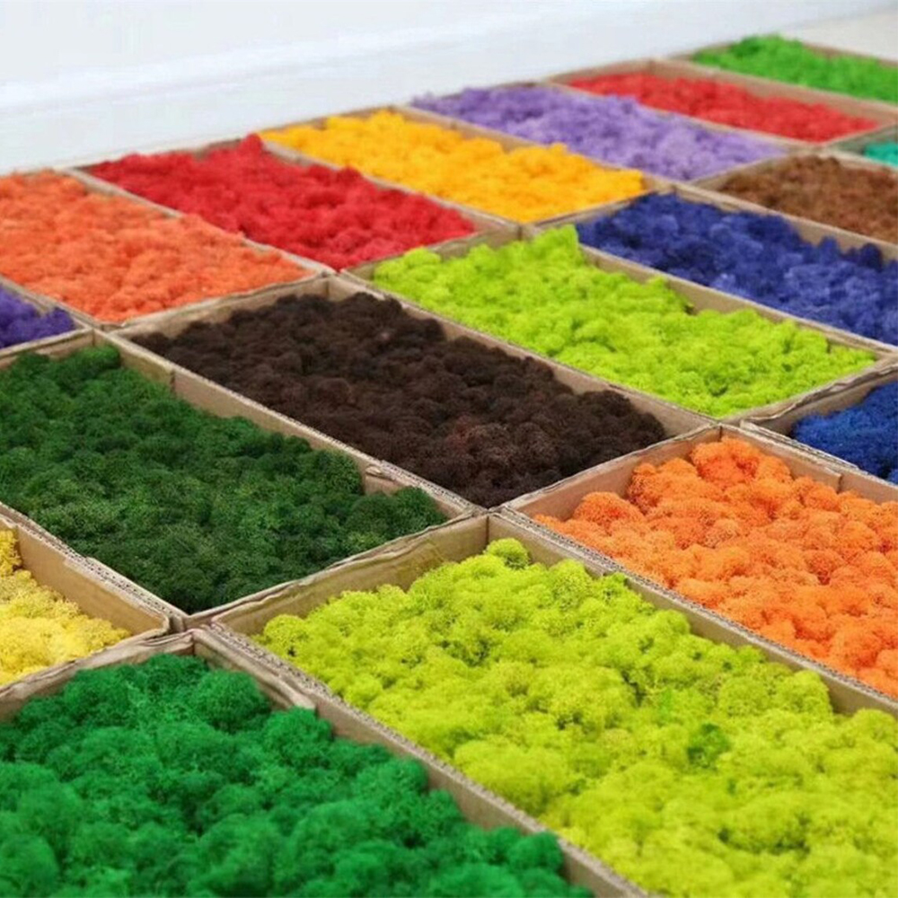 Artificial Green Plants Mini L - Sphagnum Moss Dry のレビューと価格