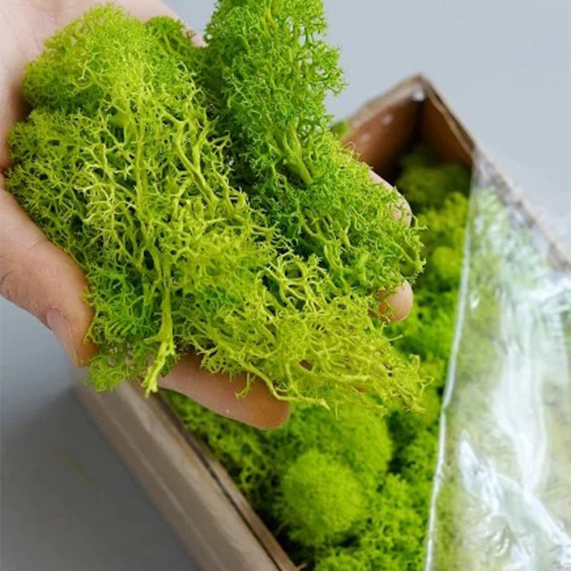 Artificial Green Plants Mini L - Sphagnum Moss Dry のレビューと価格
