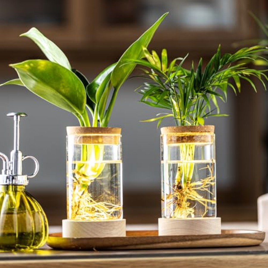 10Pcs Lightweight Reusable Gla - Misting Bottle Fine のレビューと価格