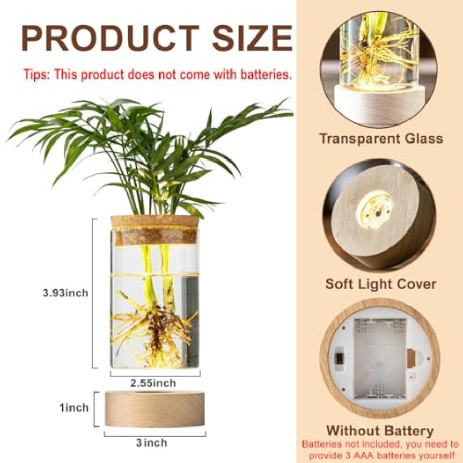 10Pcs Lightweight Reusable Gla - Misting Bottle Fine のレビューと価格
