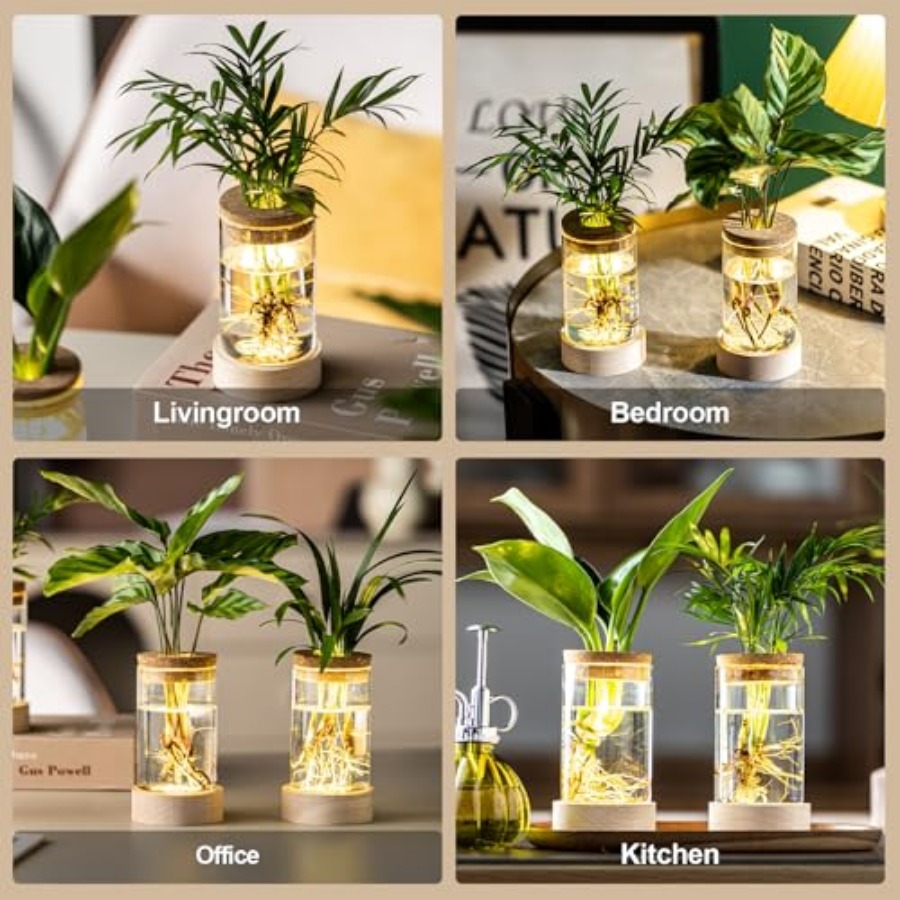 10Pcs Lightweight Reusable Gla - Misting Bottle Fine のレビューと価格