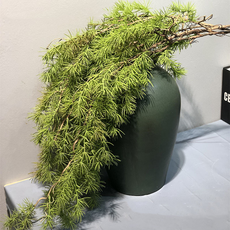 New Pine Needle Vine Wall Hang - Sphagnum Moss Dry のレビューと価格