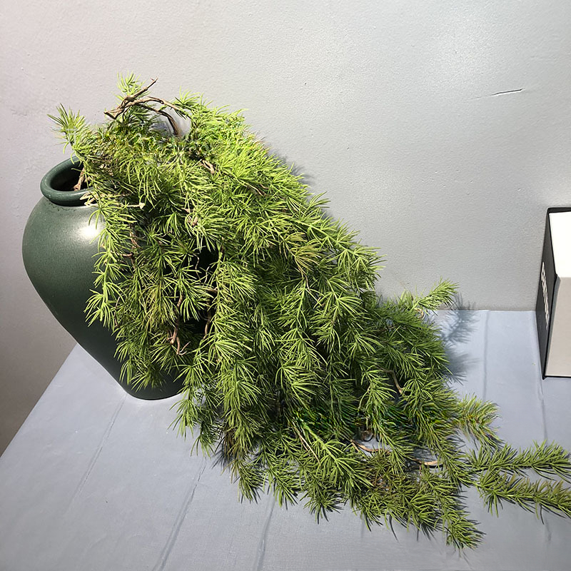 New Pine Needle Vine Wall Hang - Sphagnum Moss Dry のレビューと価格