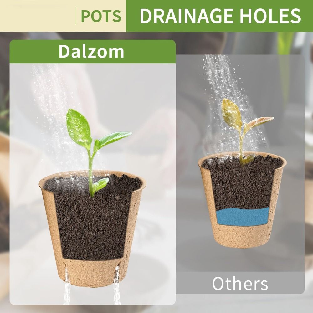 50PCS Biodegradable Plant Star - Peat Pellet Tray のレビューと価格