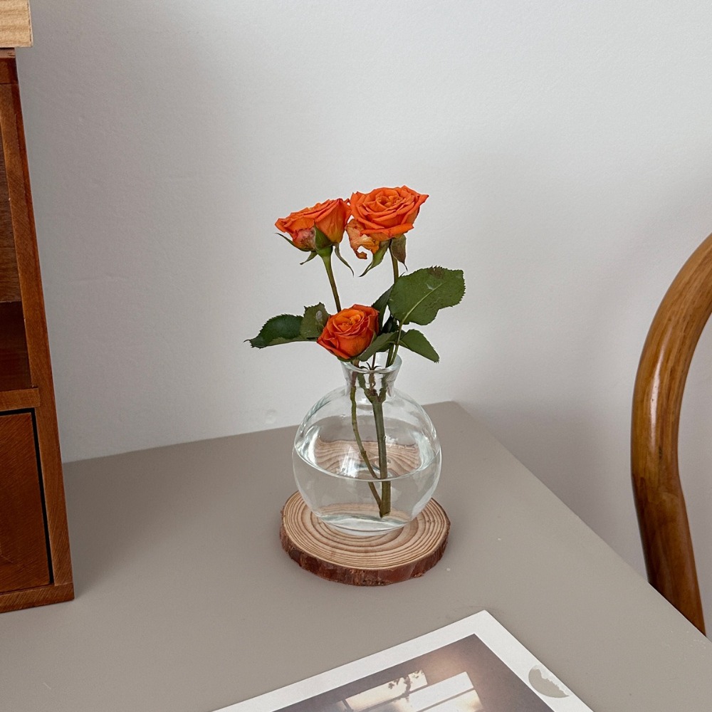Creative Transparent Mini Flow - Propagation Station Vase のレビューと価格