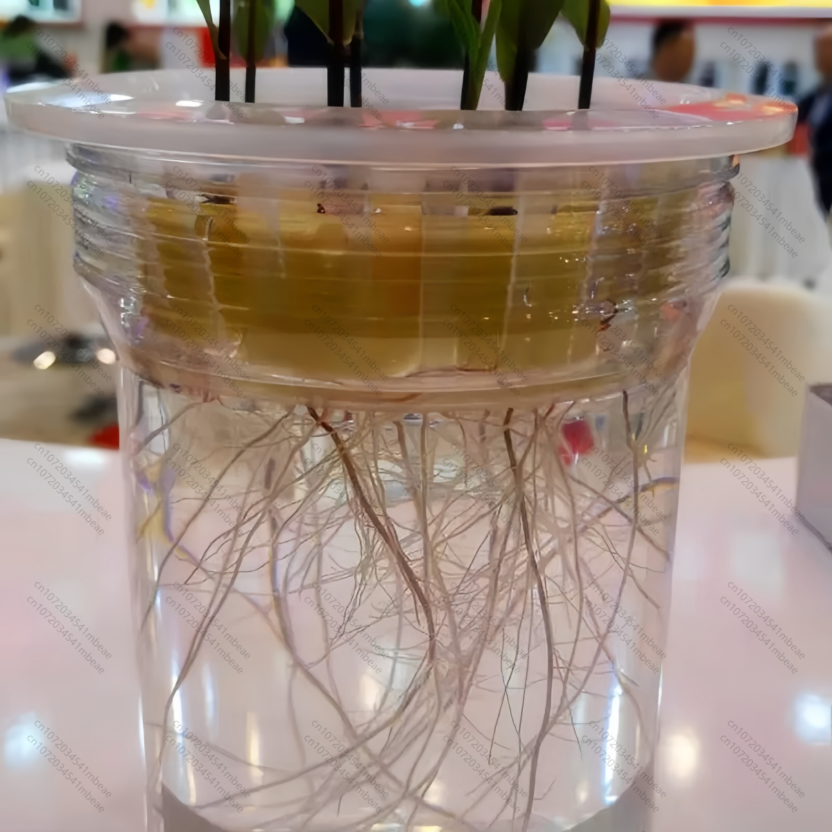 NAA 98% TC 1-Naphthaleneacetic - Rooting Hormone Powder のレビューと価格