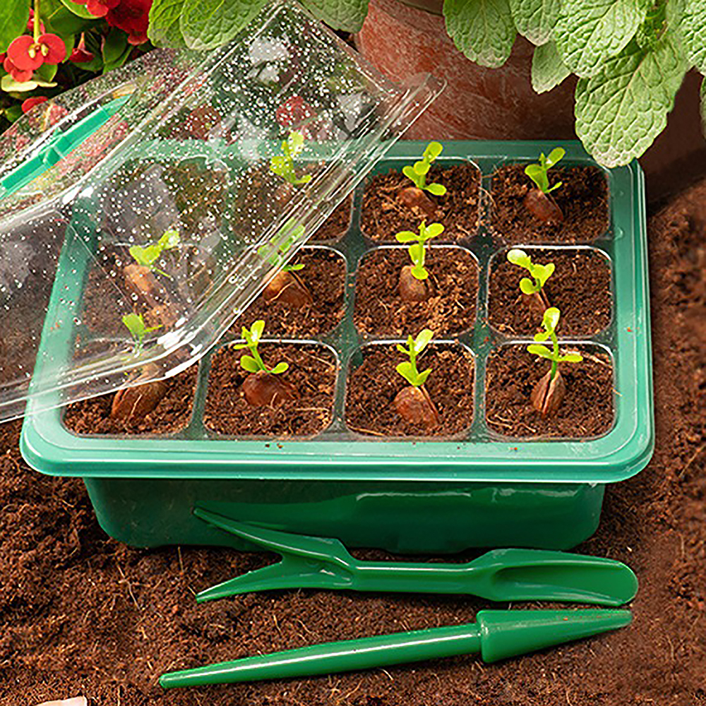 Seed Starter Trays with Grow L - Humidity Dome Kit のレビューと価格