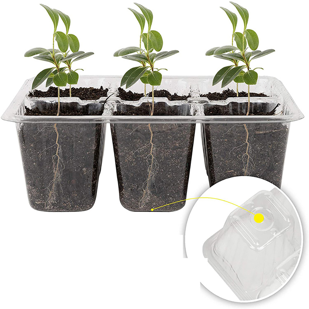 Seed Starter Trays with Grow L - Humidity Dome Kit のレビューと価格
