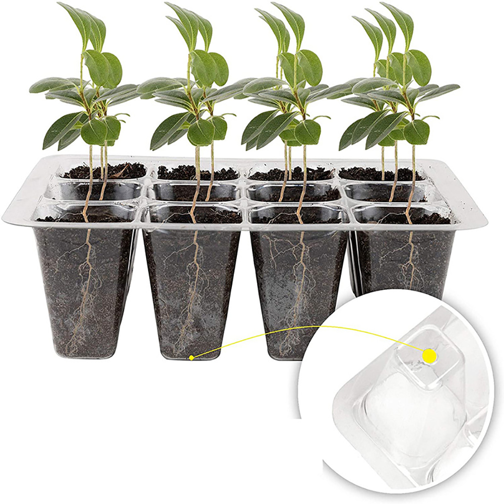 Seed Starter Trays with Grow L - Humidity Dome Kit のレビューと価格