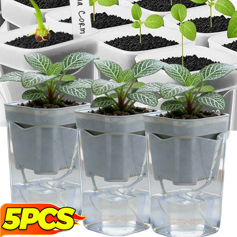Transparent Flower Plant Pot S - Self Watering Insert のレビューと価格