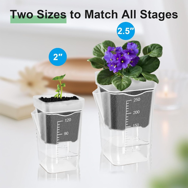 Transparent Flower Plant Pot S - Self Watering Insert のレビューと価格