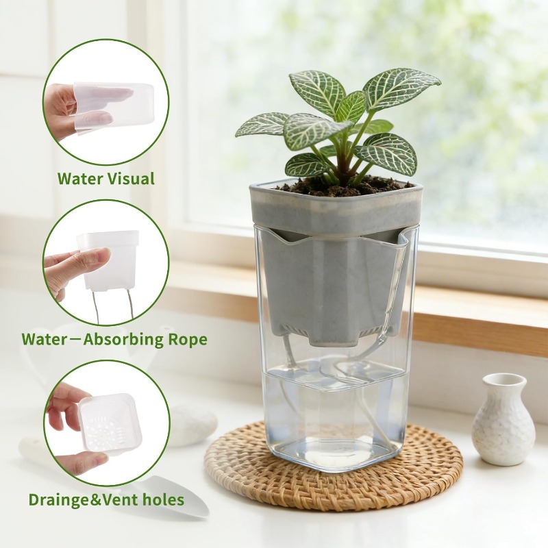 Transparent Flower Plant Pot S - Self Watering Insert のレビューと価格