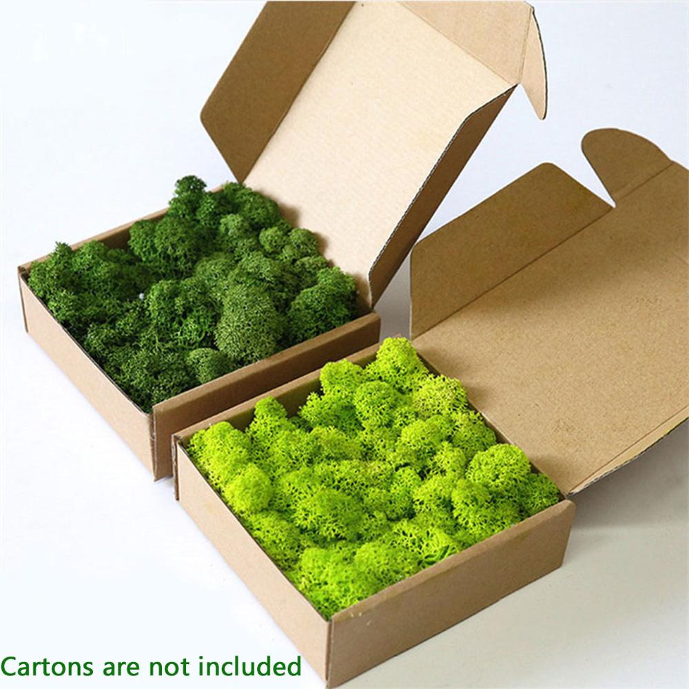 Artificial Plant Eternal Life  - Sphagnum Moss Dry のレビューと価格