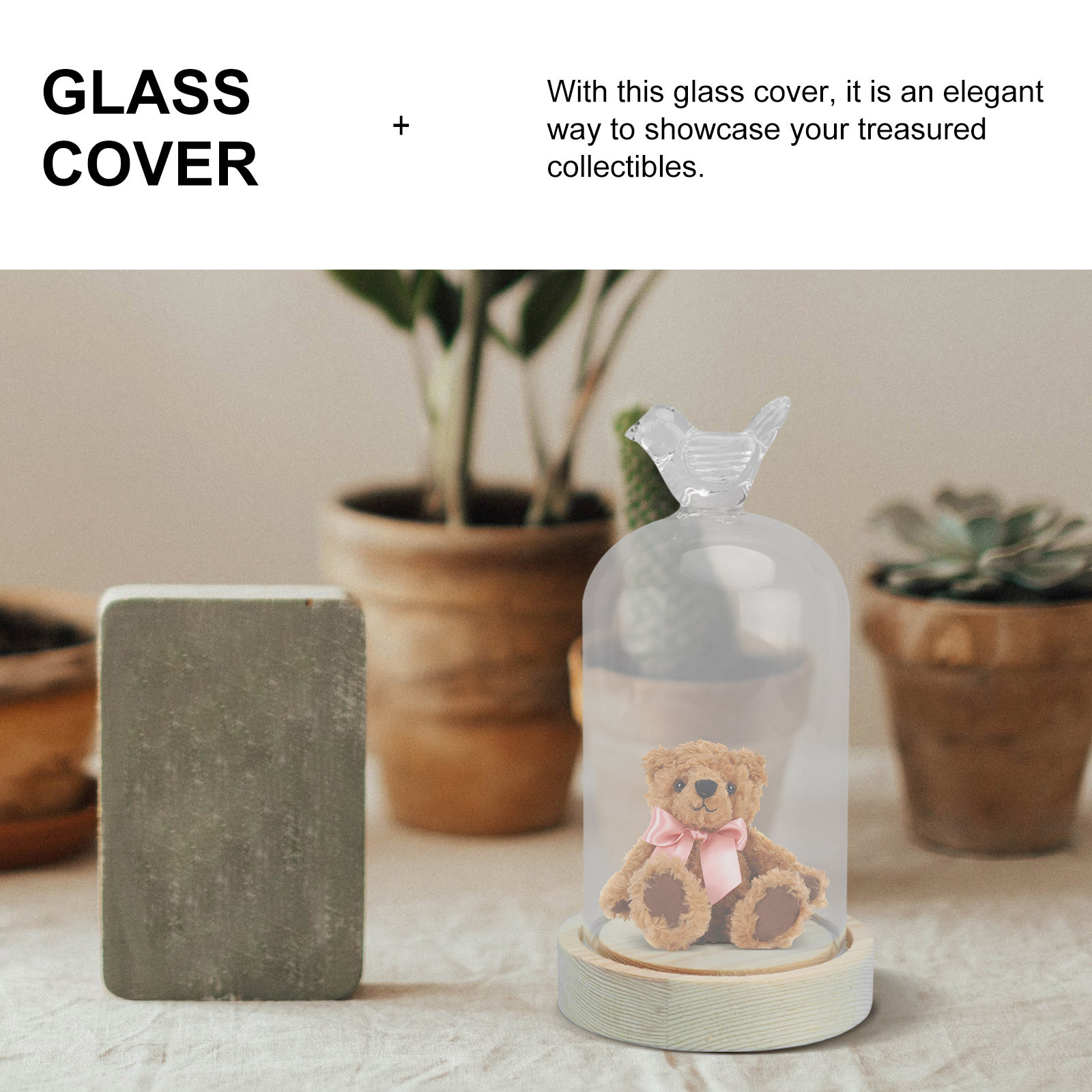 1Pcs Mini Glass Dome Cover Bir - Plastic Dome Clear のレビューと価格