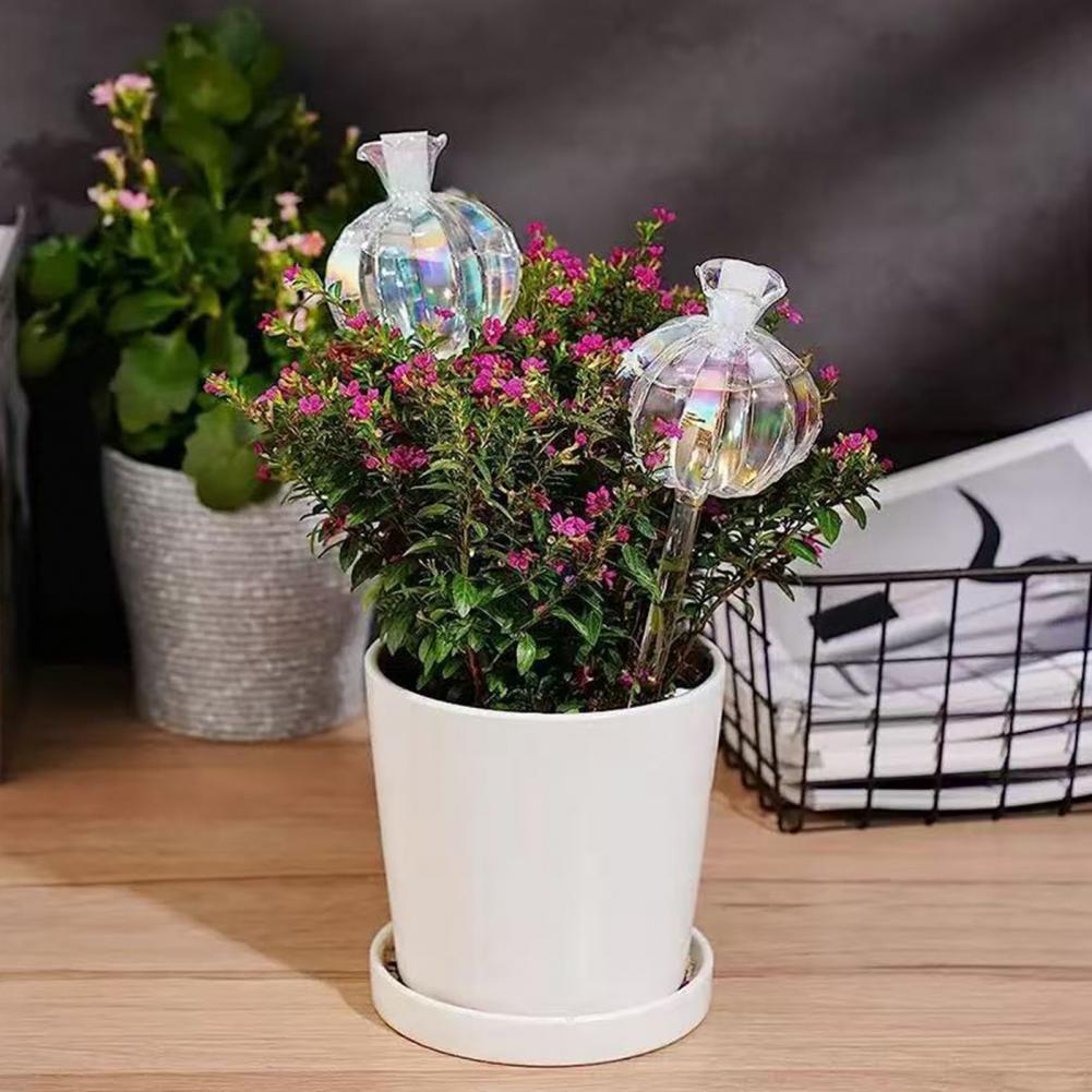 24cm Cactus Self Watering Bulb - Self Watering Insert のレビューと価格
