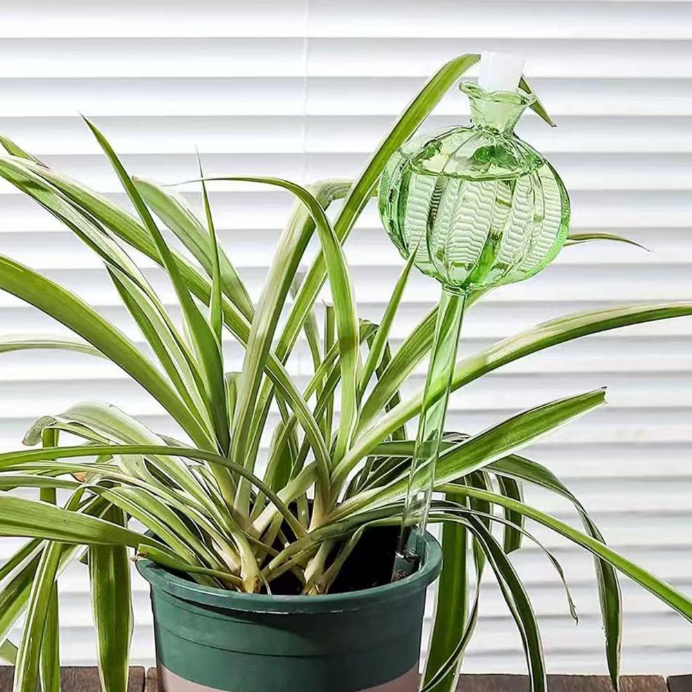 24cm Cactus Self Watering Bulb - Self Watering Insert のレビューと価格