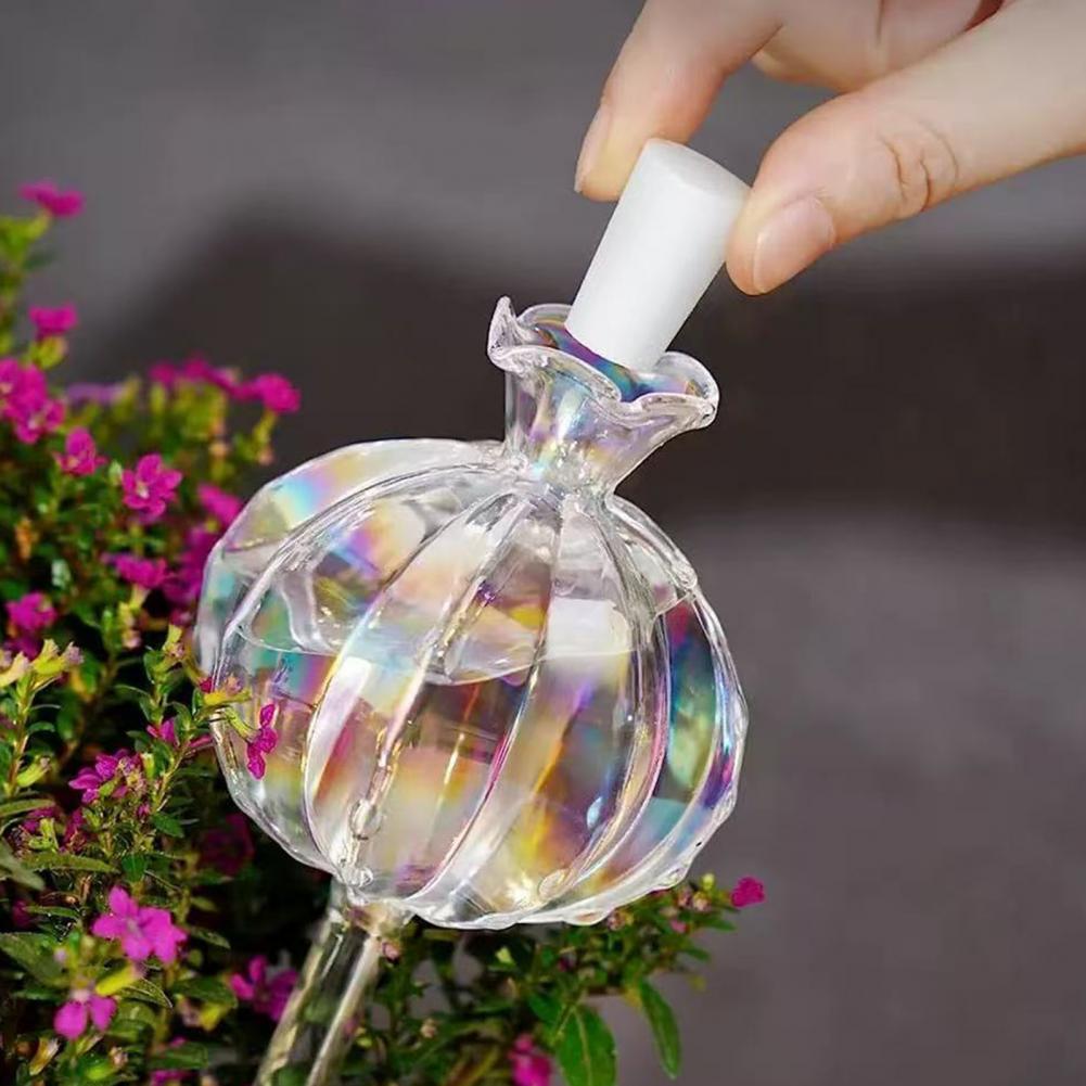 24cm Cactus Self Watering Bulb - Self Watering Insert のレビューと価格